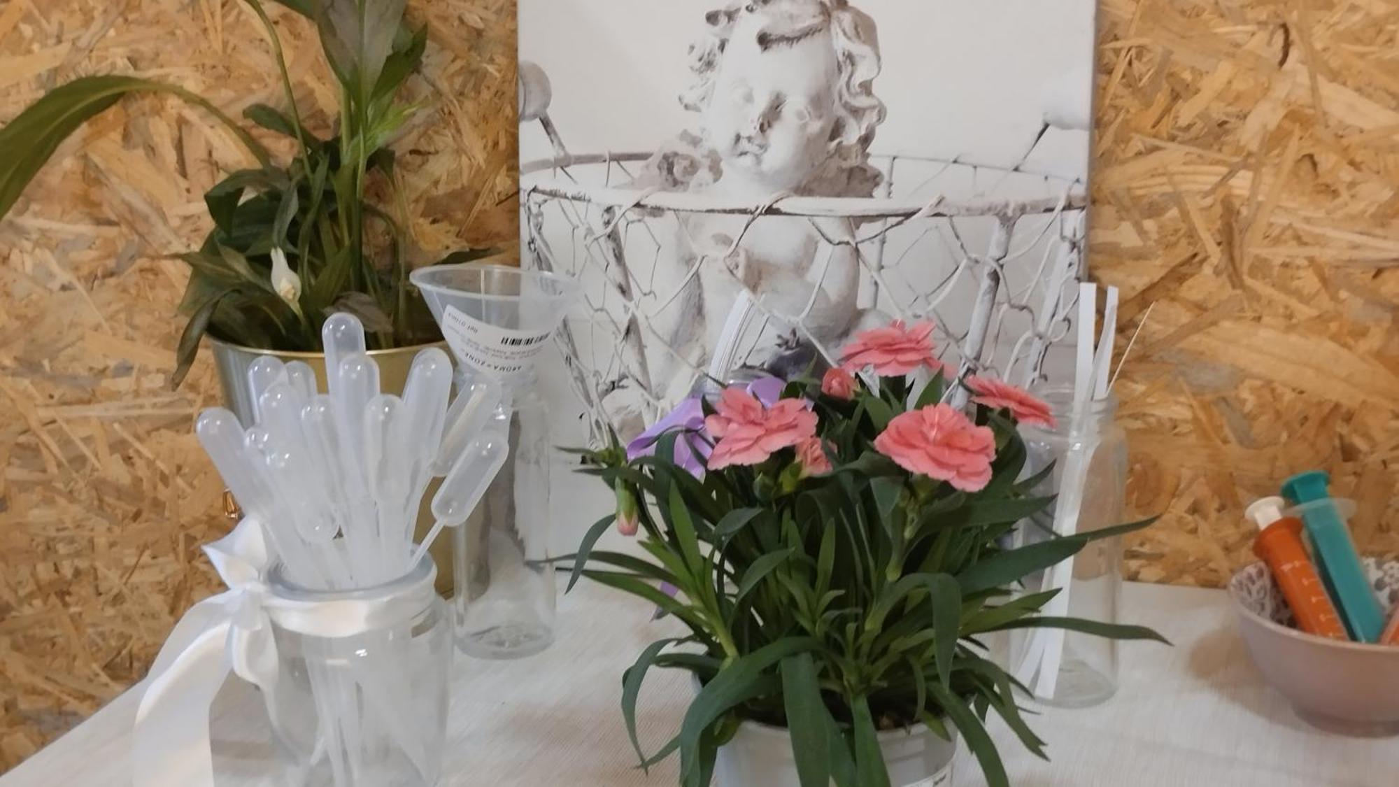 Le Laboratoire Shabby Chic De La Parfumerie Du Manoir Chavagne Dış mekan fotoğraf